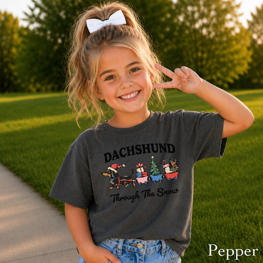 Dachshund Through The Snow Christmas Youth Comfort Color T-Shirt