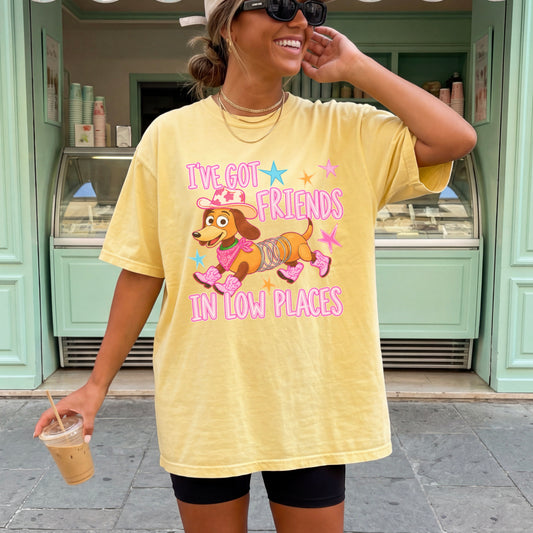 I’ve Got Friends In Low Places Toy Comfort Color Graphic Tee