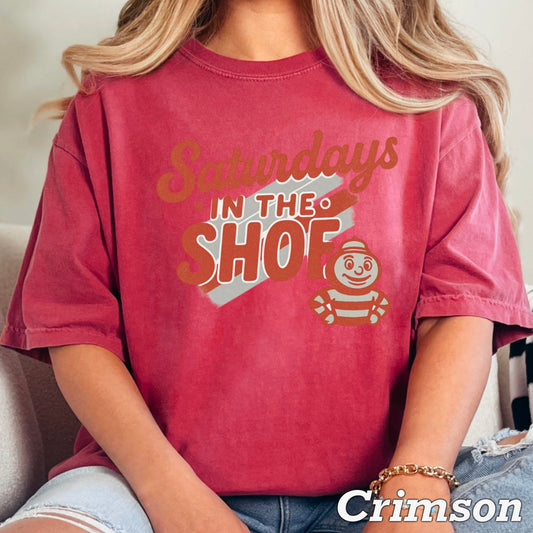 Vintage OH Comfort Color Graphic Tee