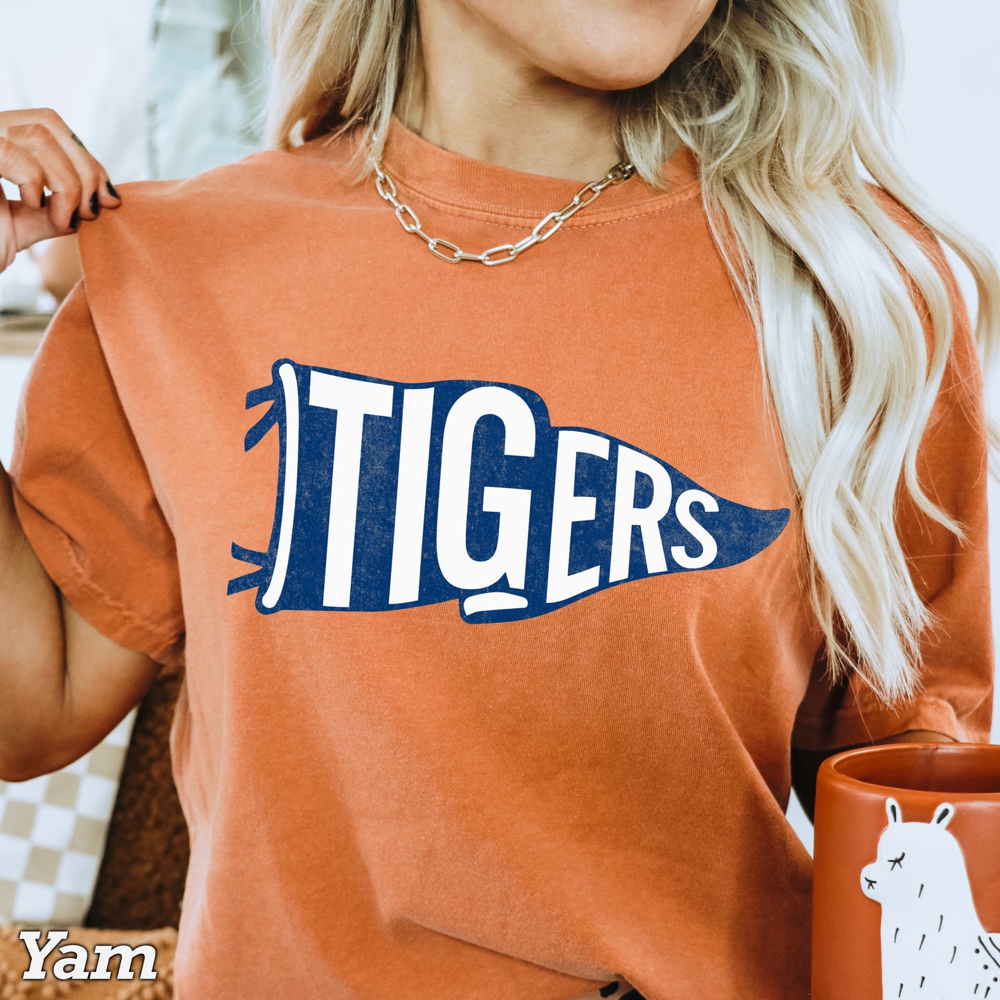 Tigers Pennant Flag DTF Transfer