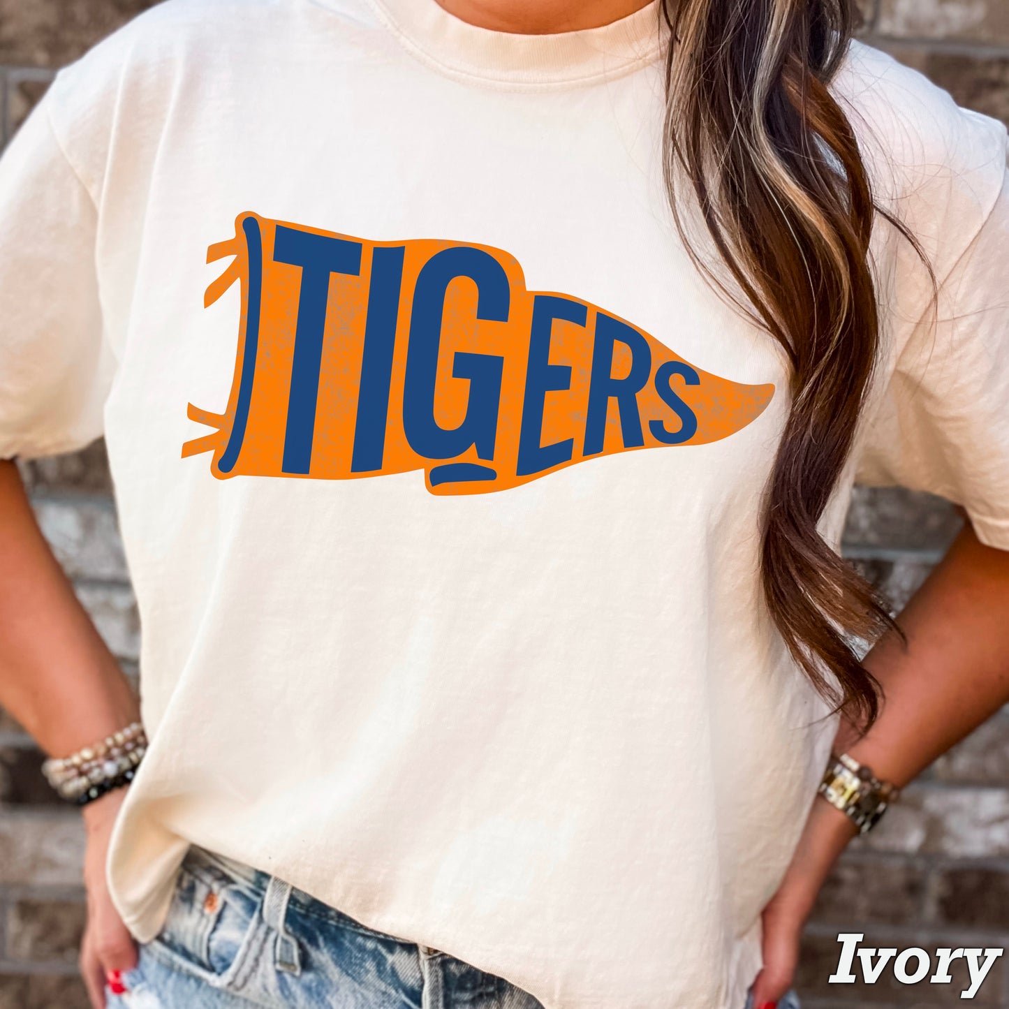 Tigers Pennant Flag DTF Transfer