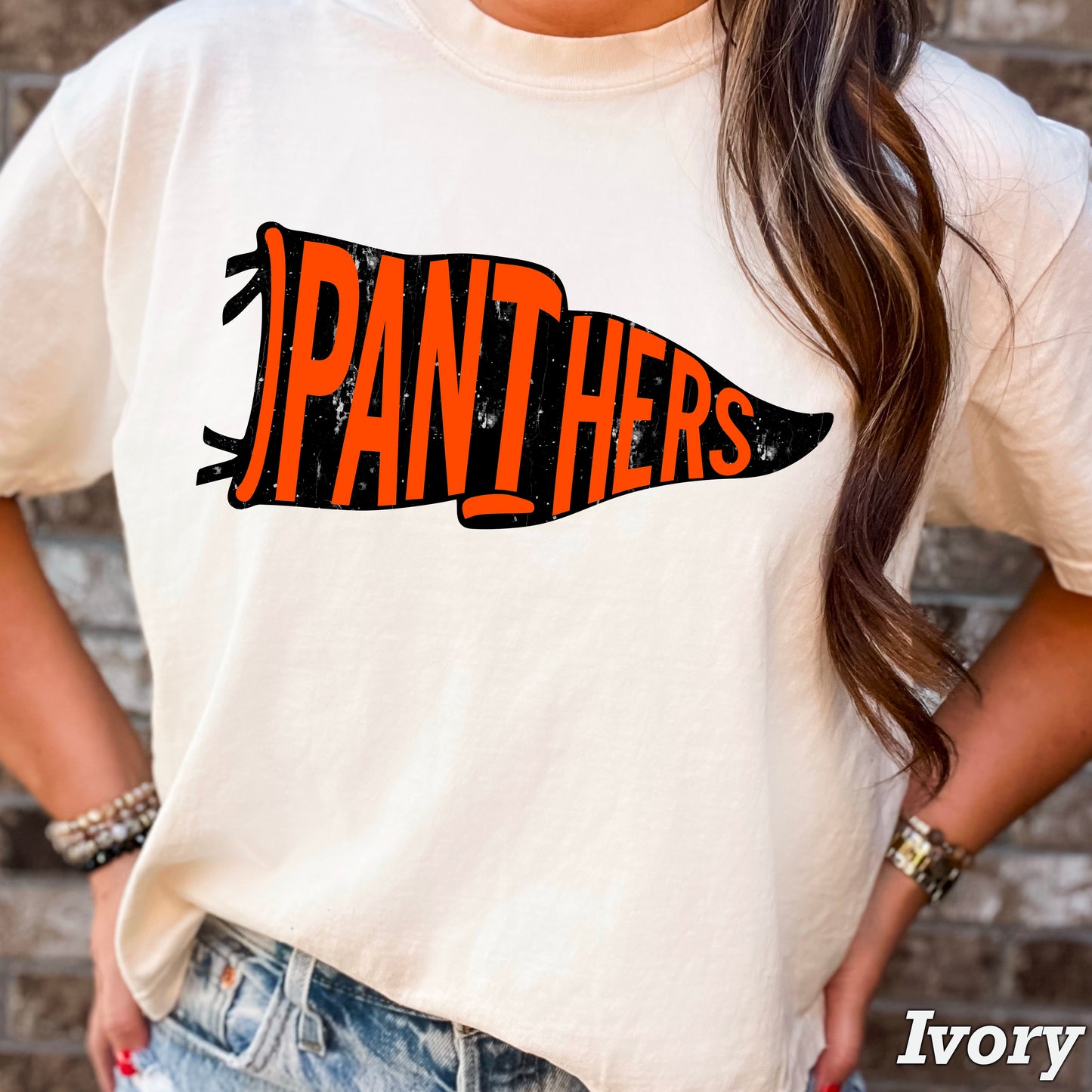 Panthers Pennant Flag DTF Transfer