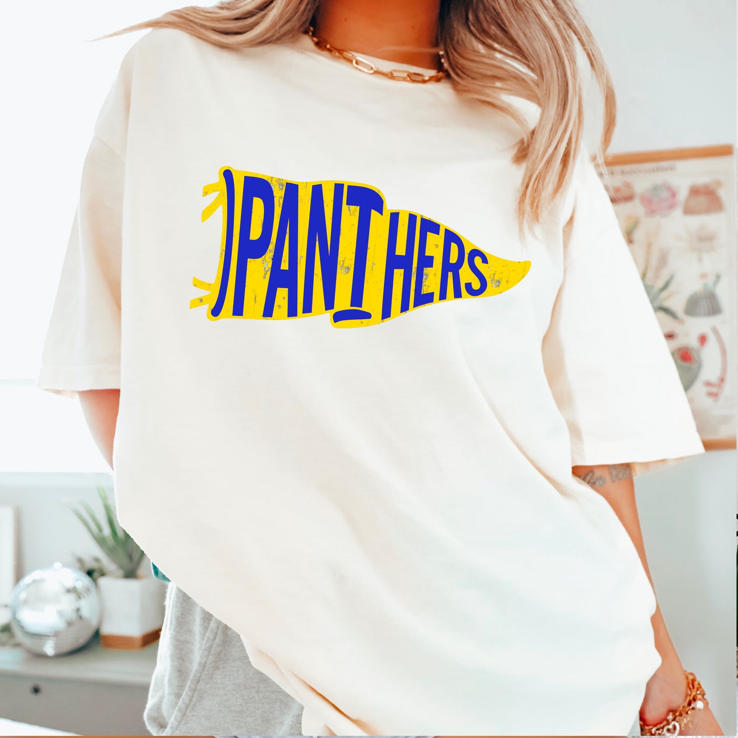 Panthers Pennant Flag DTF Transfer