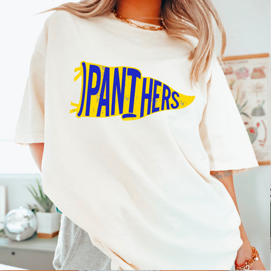 Panthers Pennant Flag DTF Transfer