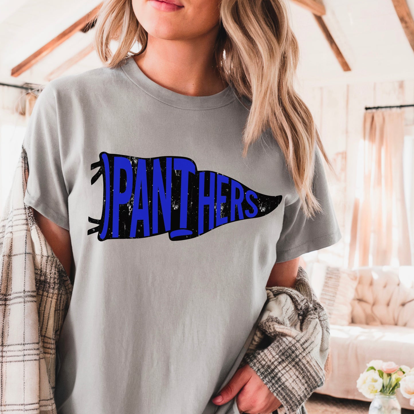 Panthers Pennant Flag DTF Transfer