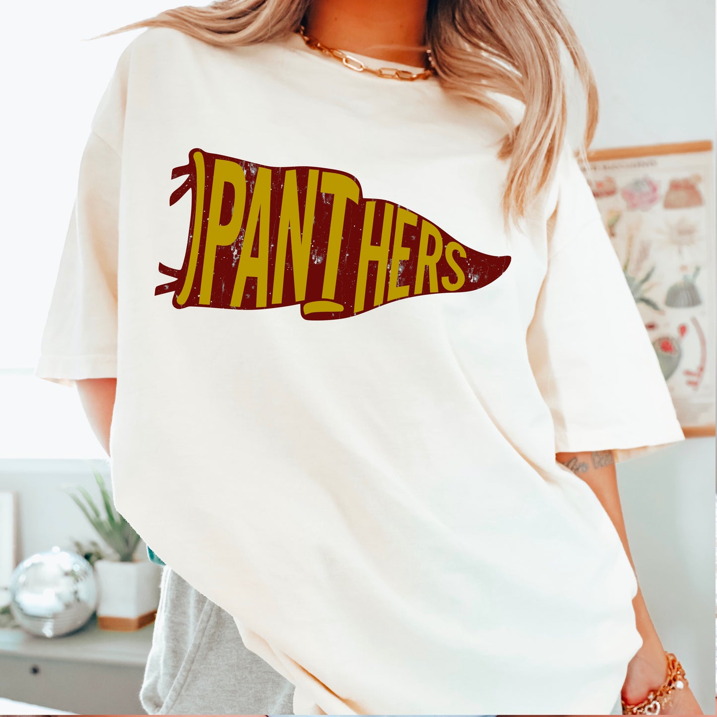 Panthers Pennant Flag DTF Transfer