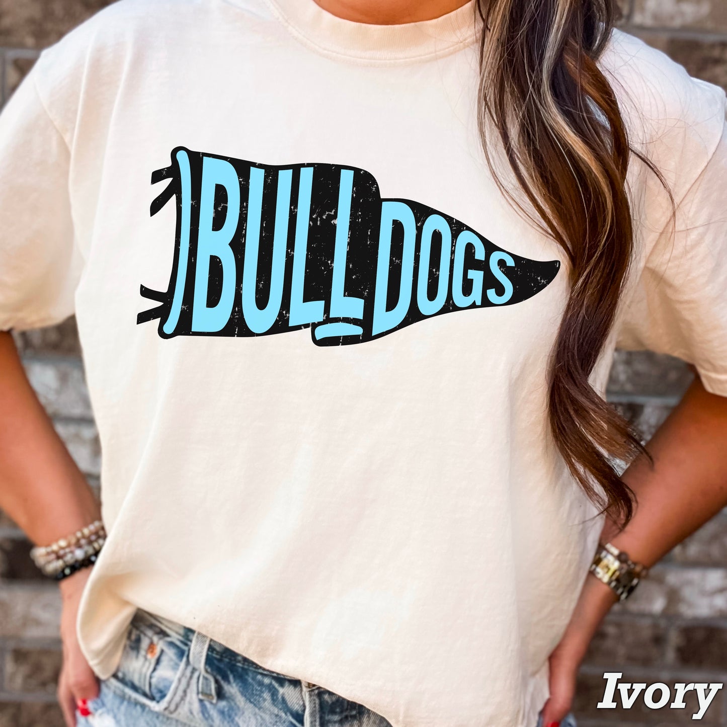 Bulldogs Pennant Flag DTF Transfer