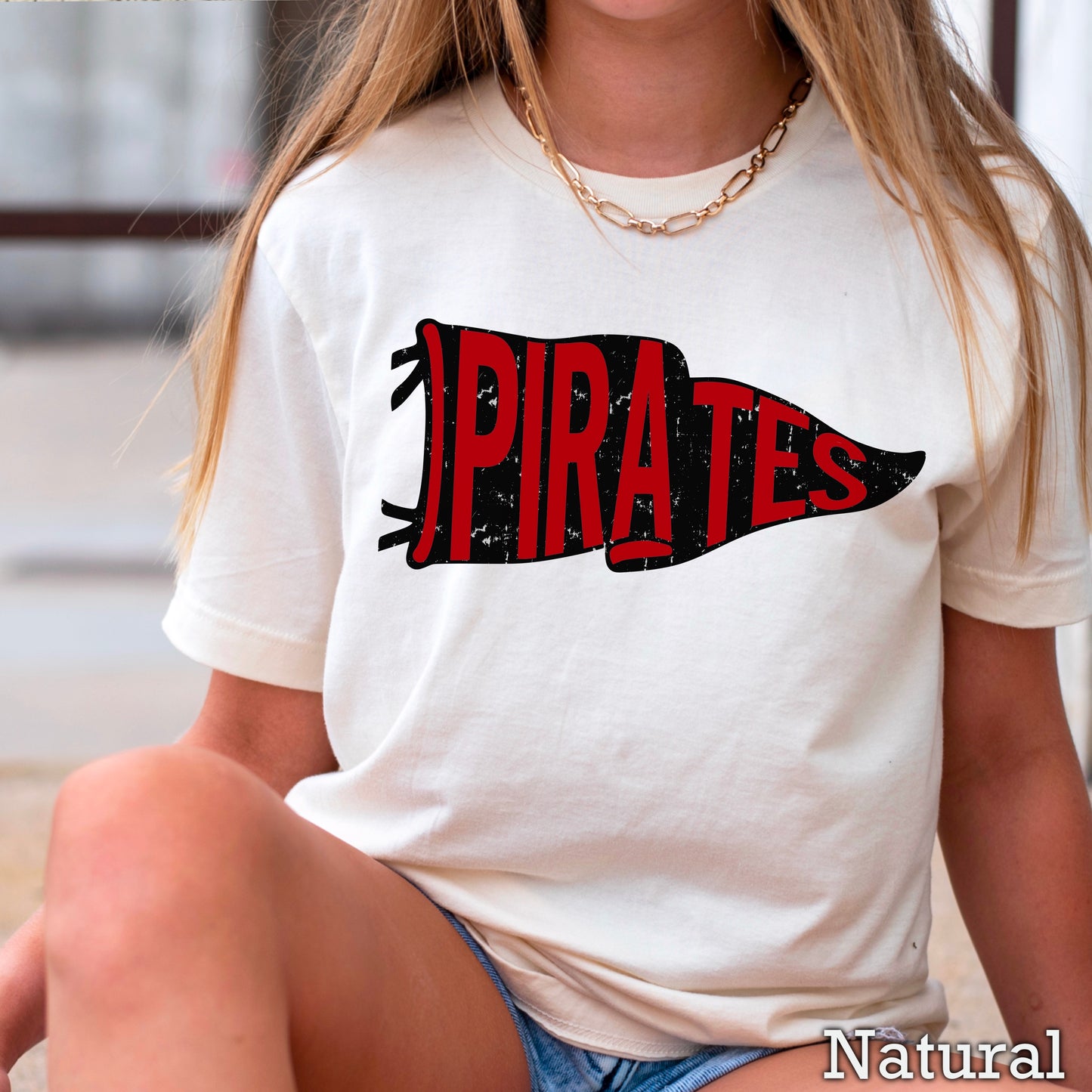 Pirates Pennant Flag DTF Transfer