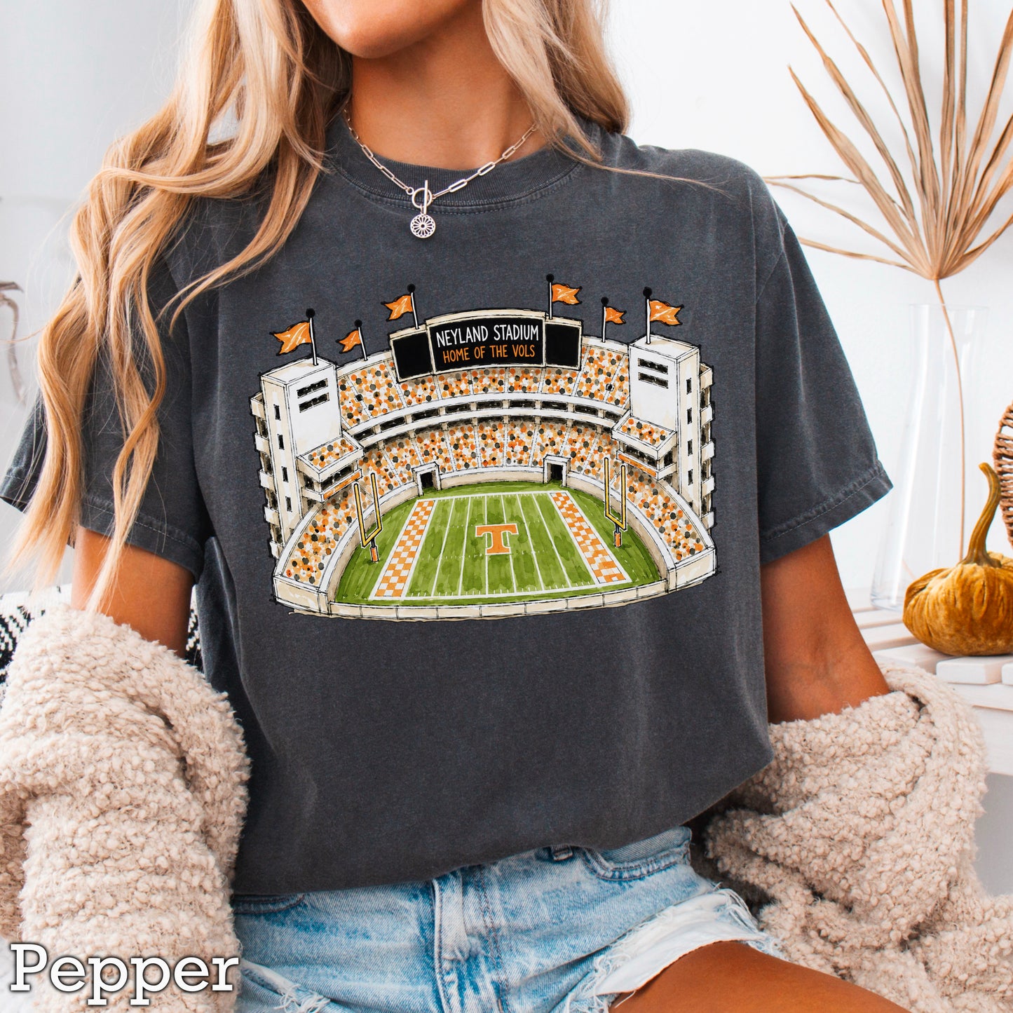 Orange & White College Stadium Comfort Color Graphic Tee