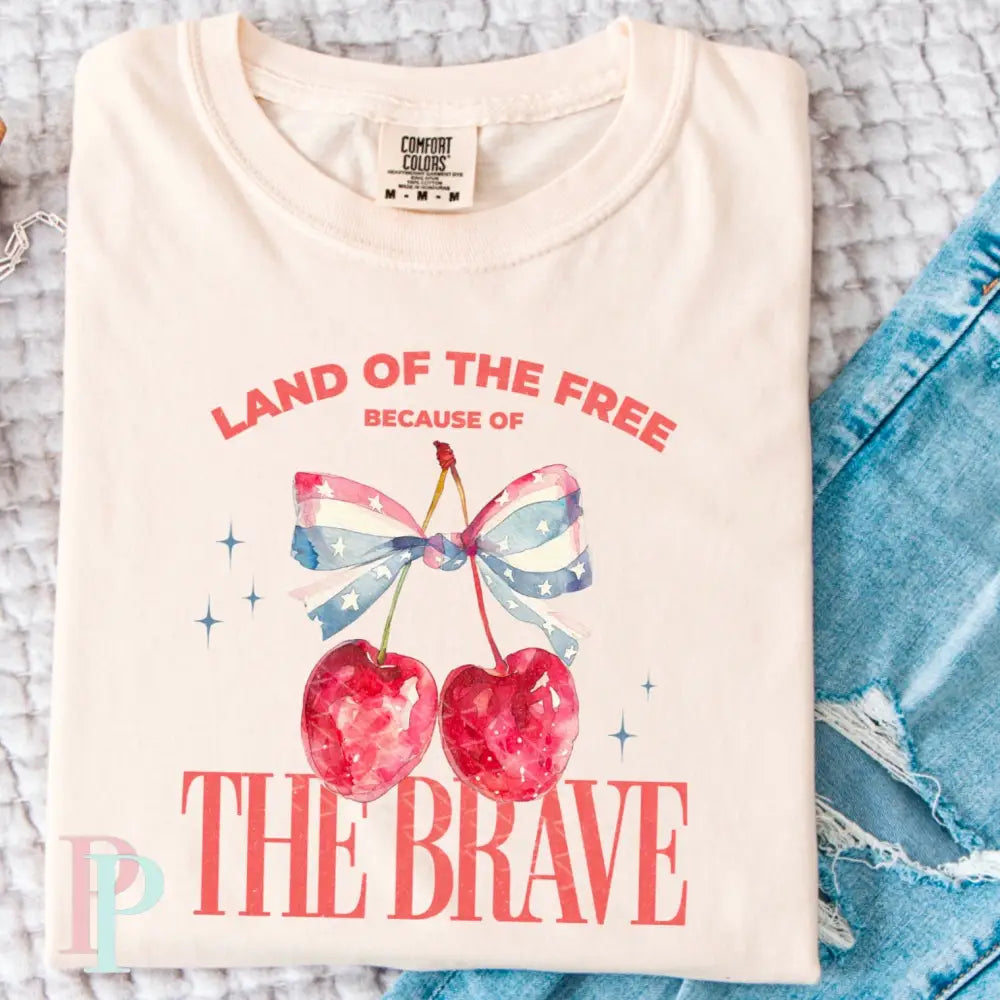 Land Of The Free DTF Transfer
