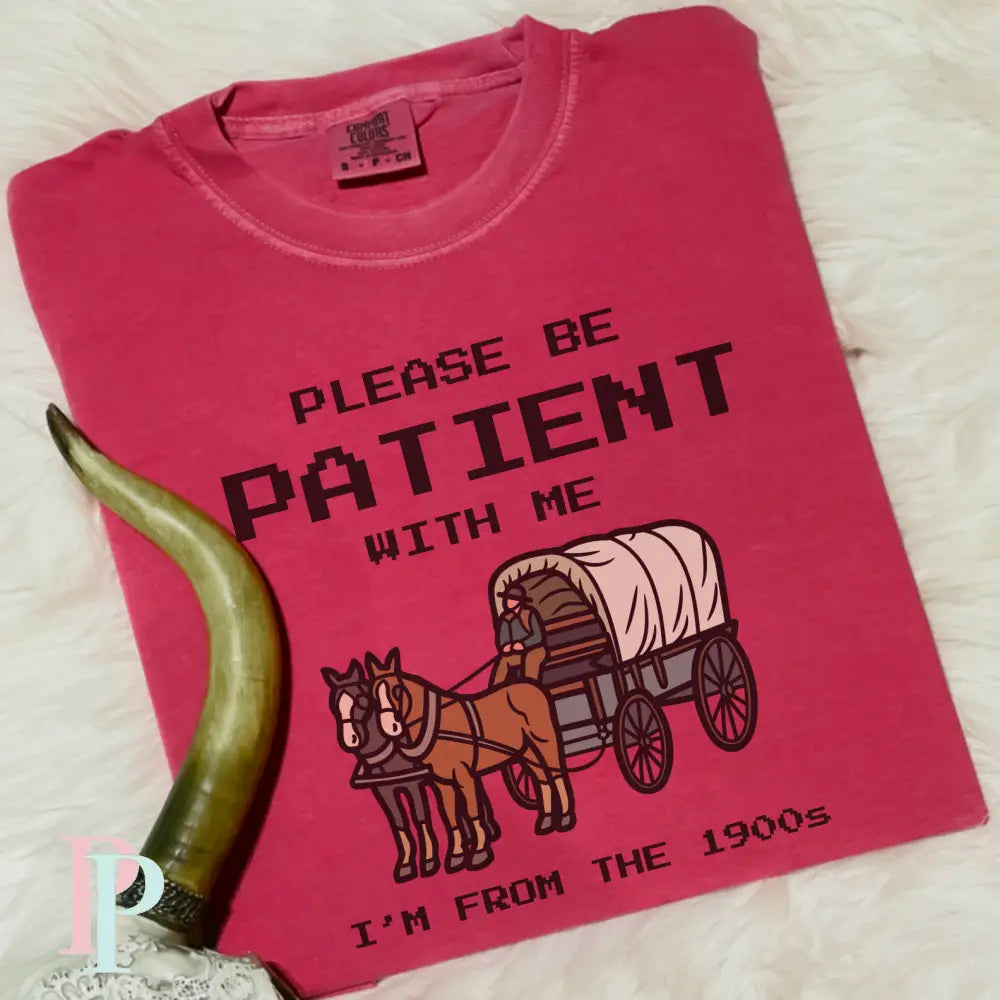 Please Be Patient With Me Comfort Color Graphic Tee