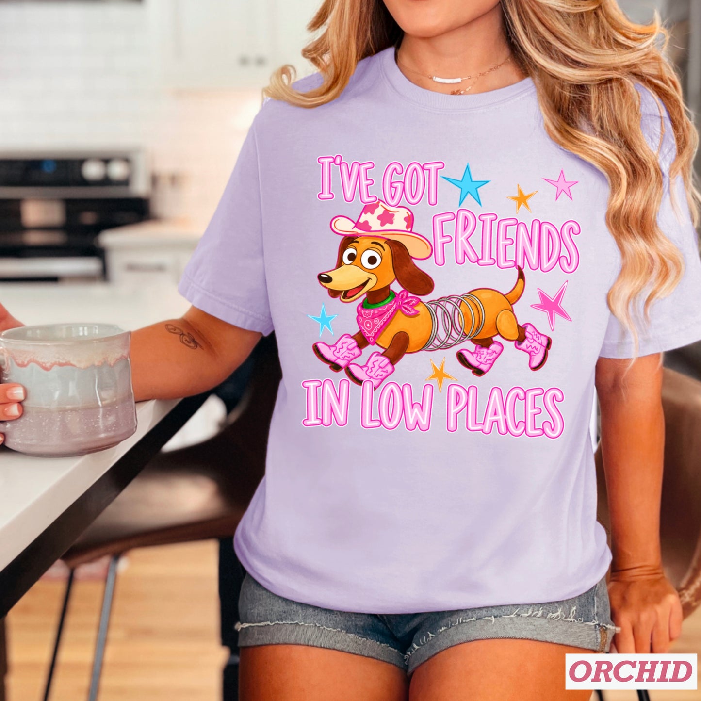 I’ve Got Friends In Low Places Toy Comfort Color Graphic Tee