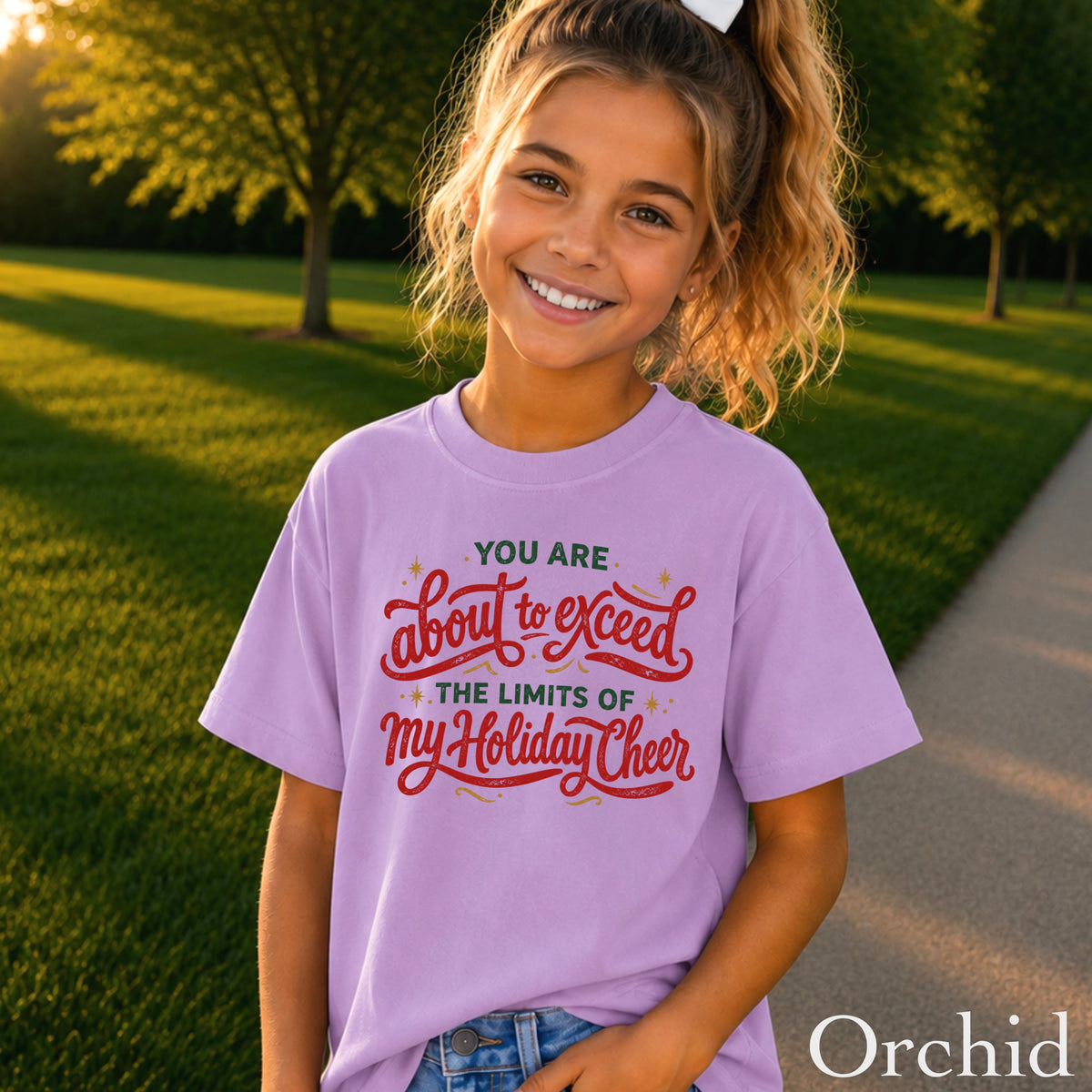 You Are About To Exceed My Limits Of Holiday Cheer Christmas Youth Comfort Color T-Shirt