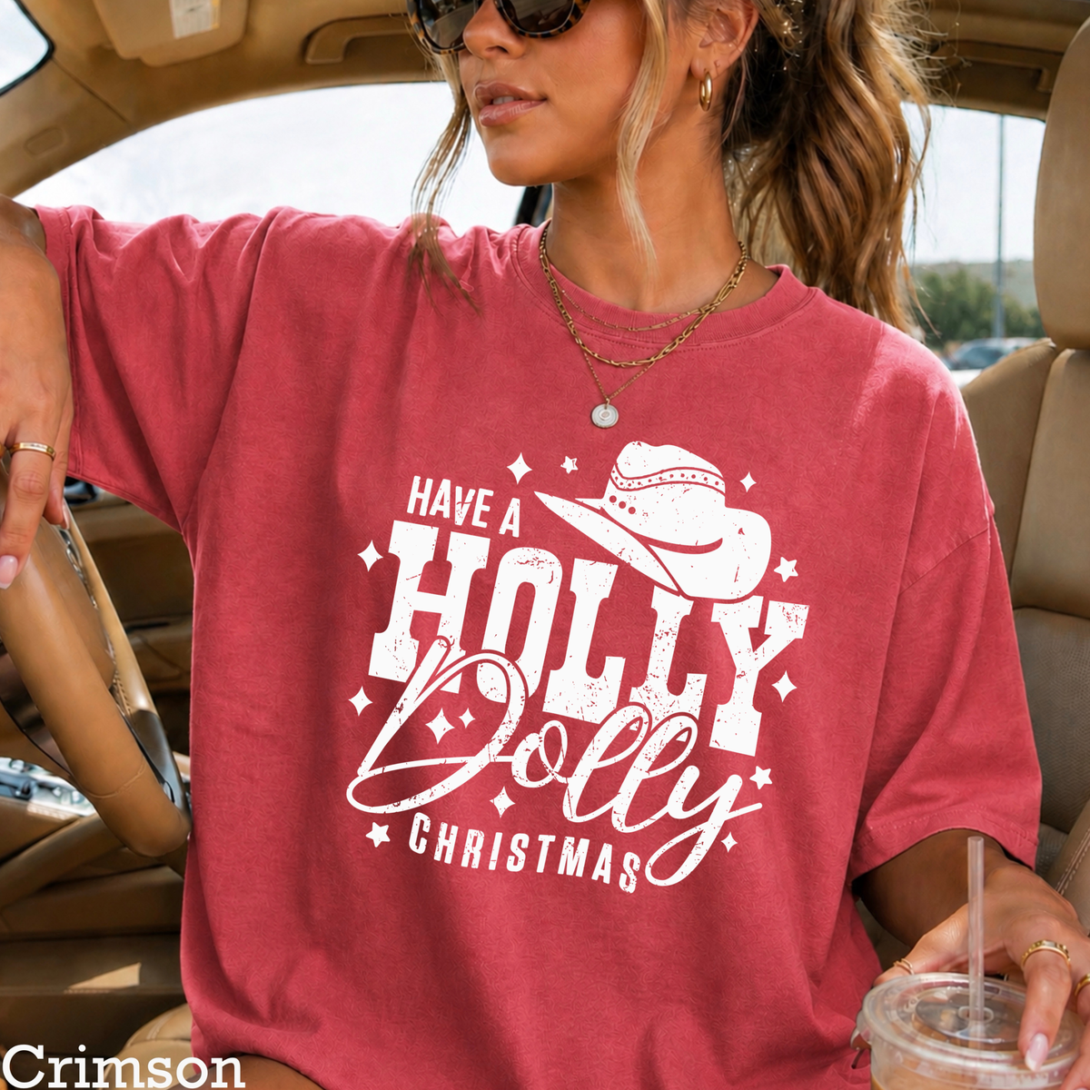 Have A Holly Christmas Comfort Color Graphic Tee