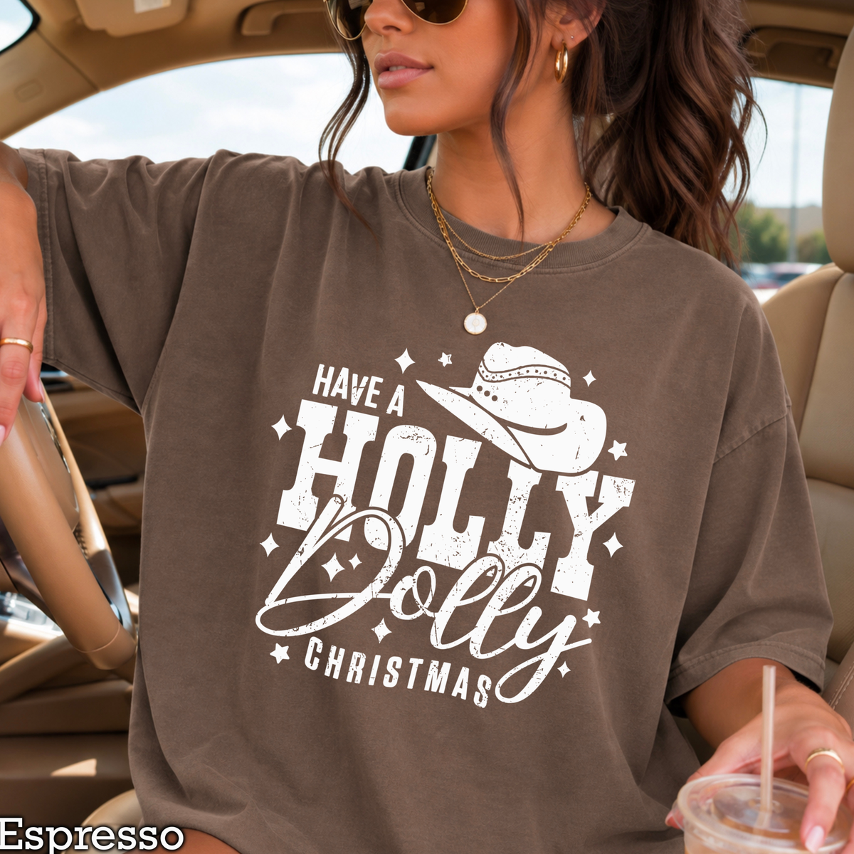 Have A Holly Christmas Comfort Color Graphic Tee