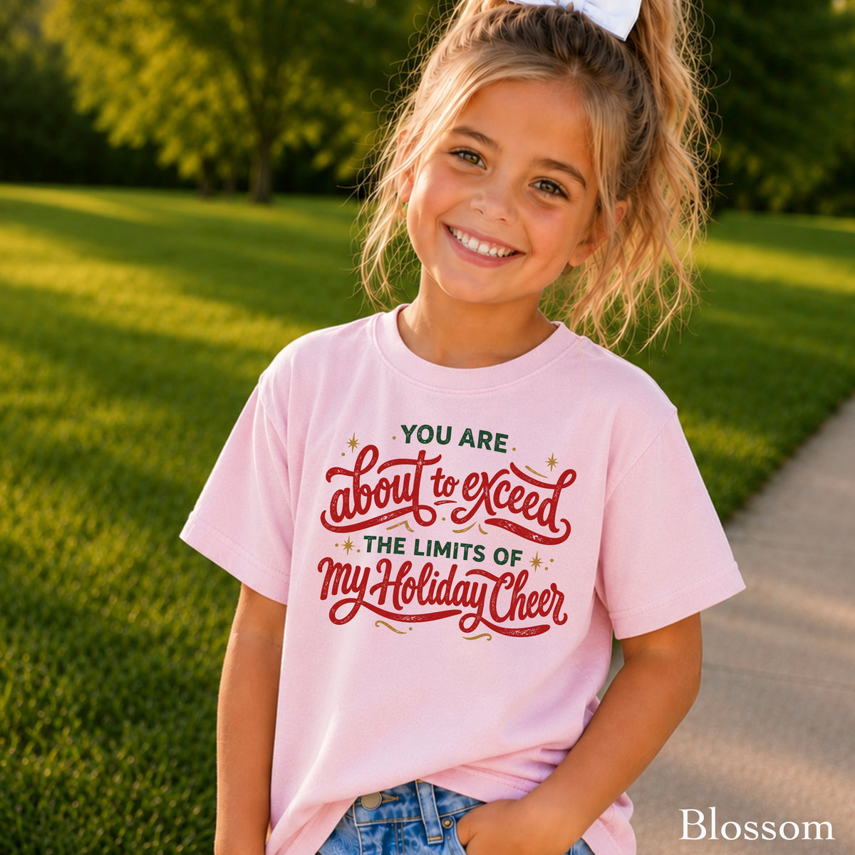 You Are About To Exceed My Limits Of Holiday Cheer Christmas Youth Comfort Color T-Shirt