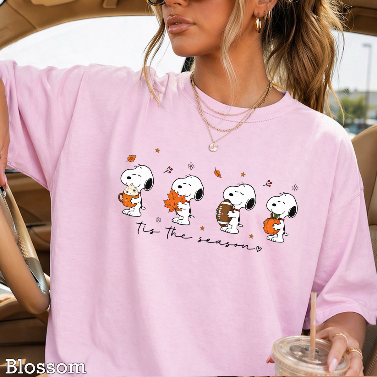 Tis The Season Fall Comfort Color Graphic Tee