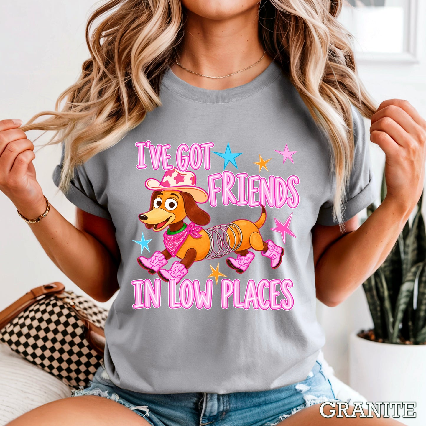 I’ve Got Friends In Low Places Toy Comfort Color Graphic Tee
