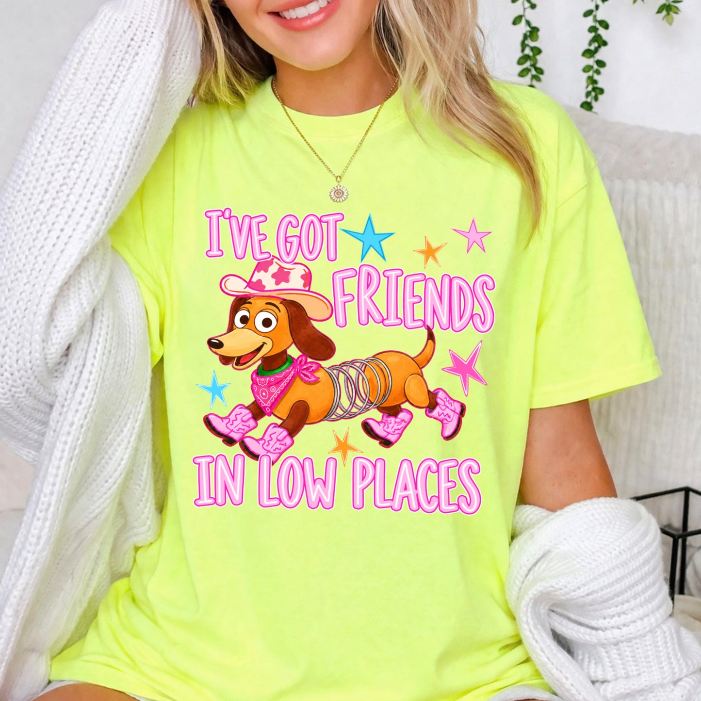 I’ve Got Friends In Low Places Toy Comfort Color Graphic Tee