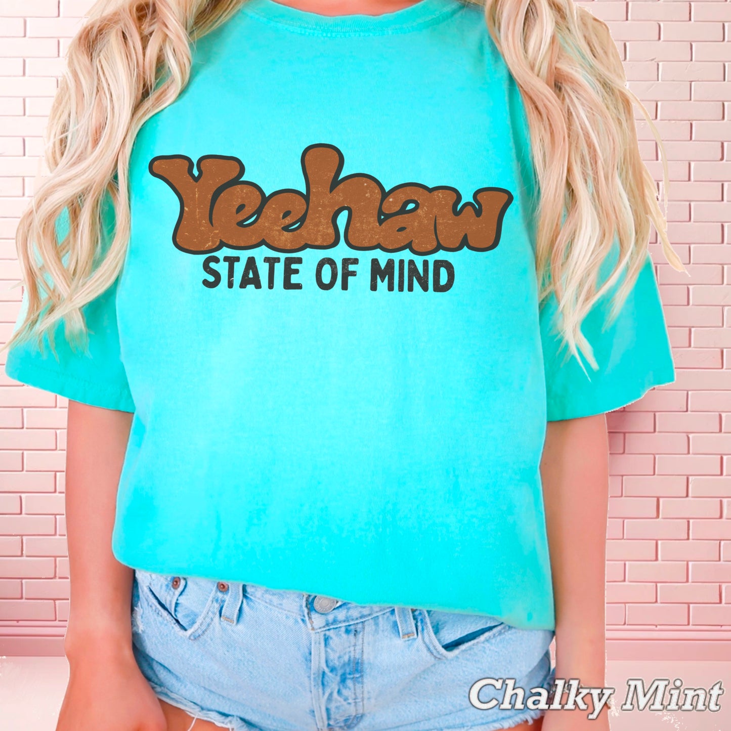 Yeehaw State Of Mind Comfort Color Graphic Tee