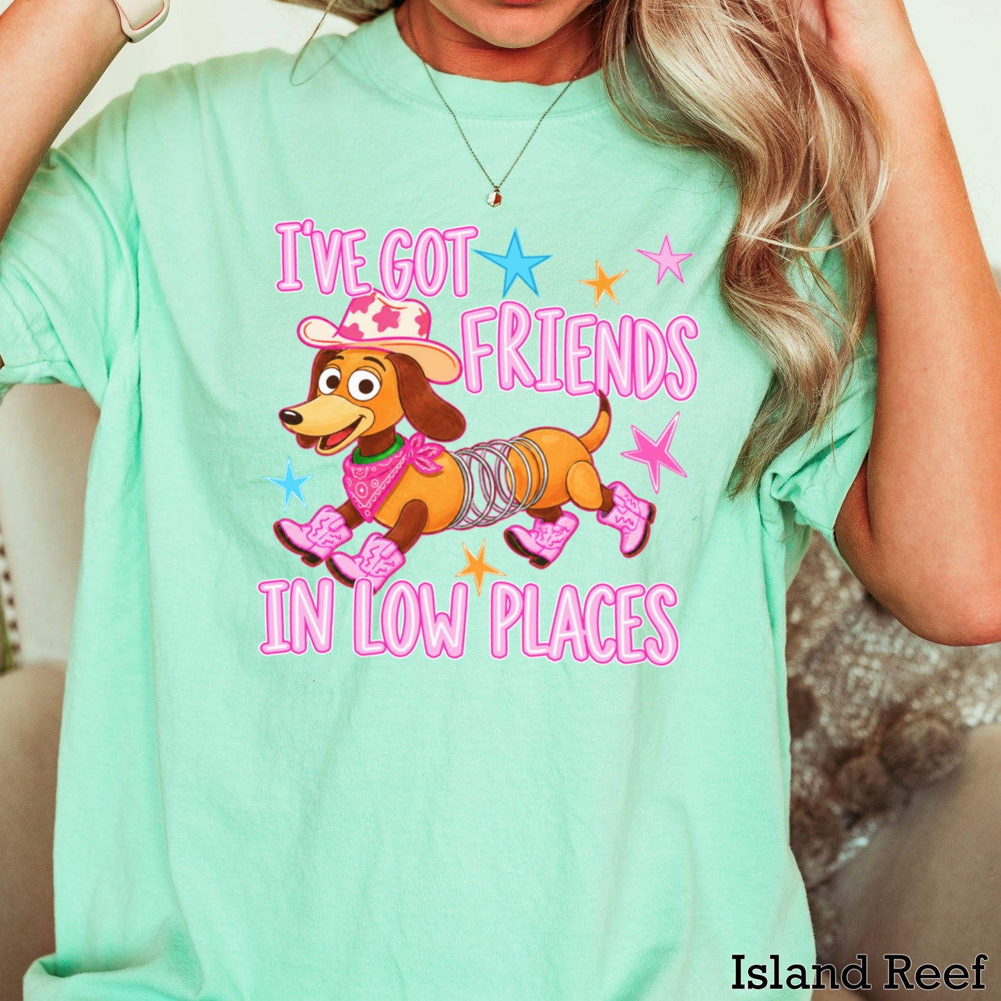 I’ve Got Friends In Low Places Toy Comfort Color Graphic Tee