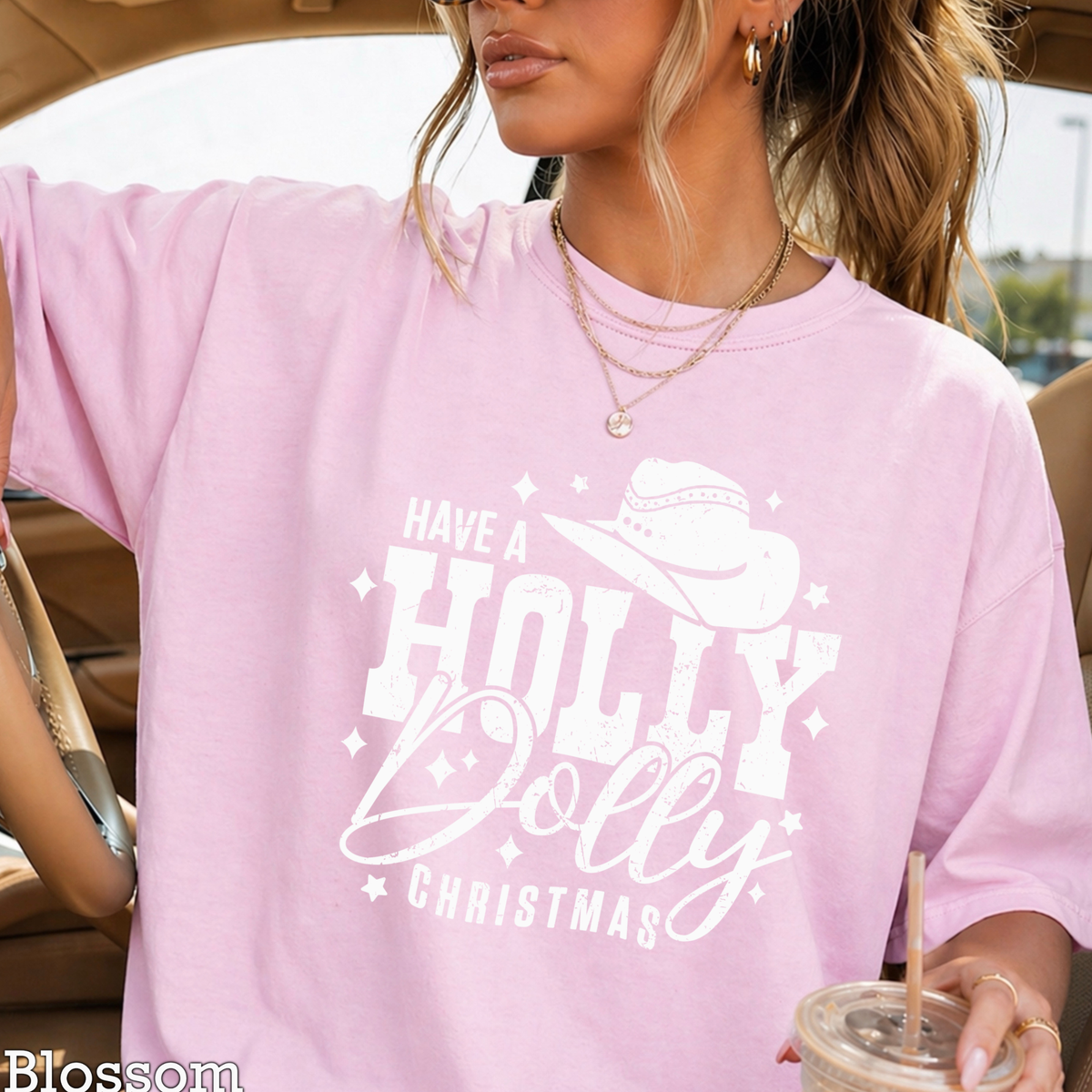 Have A Holly Christmas Comfort Color Graphic Tee