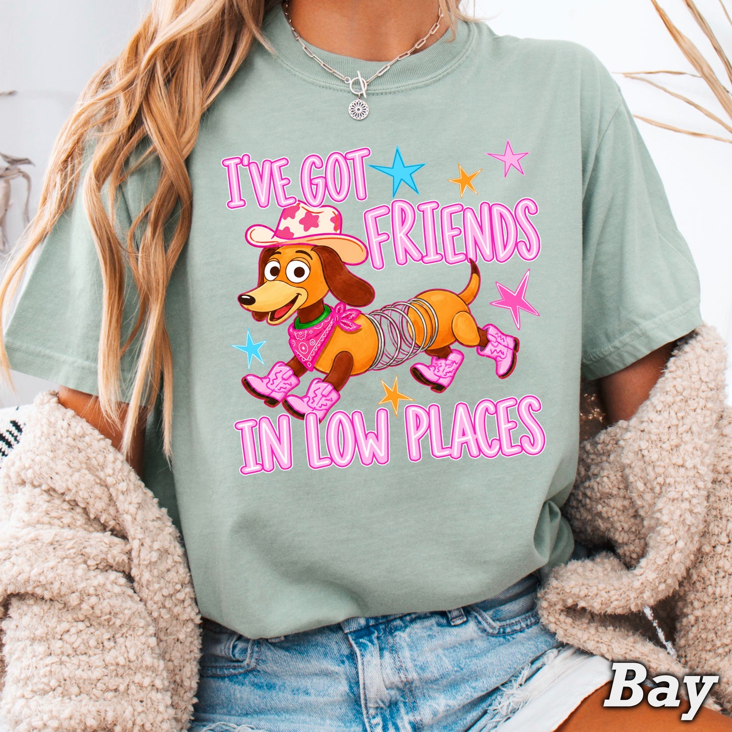I’ve Got Friends In Low Places Toy Comfort Color Graphic Tee