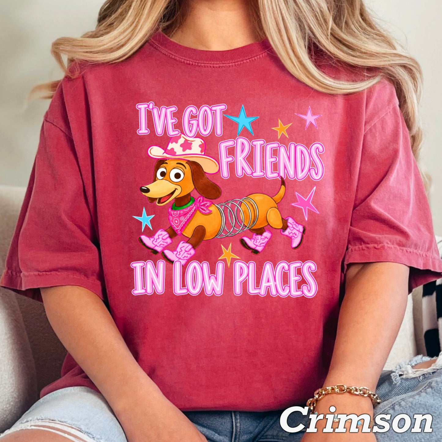 I’ve Got Friends In Low Places Toy Comfort Color Graphic Tee