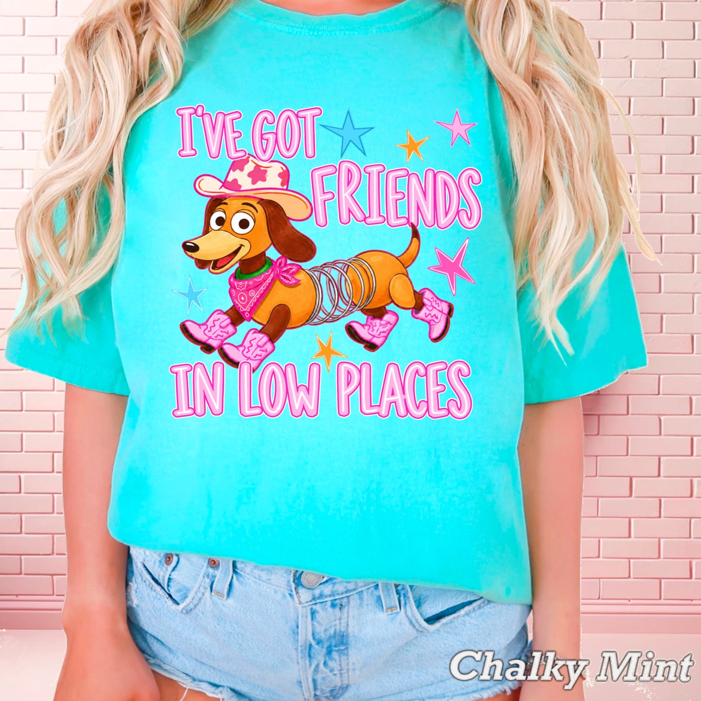 I’ve Got Friends In Low Places Toy Comfort Color Graphic Tee