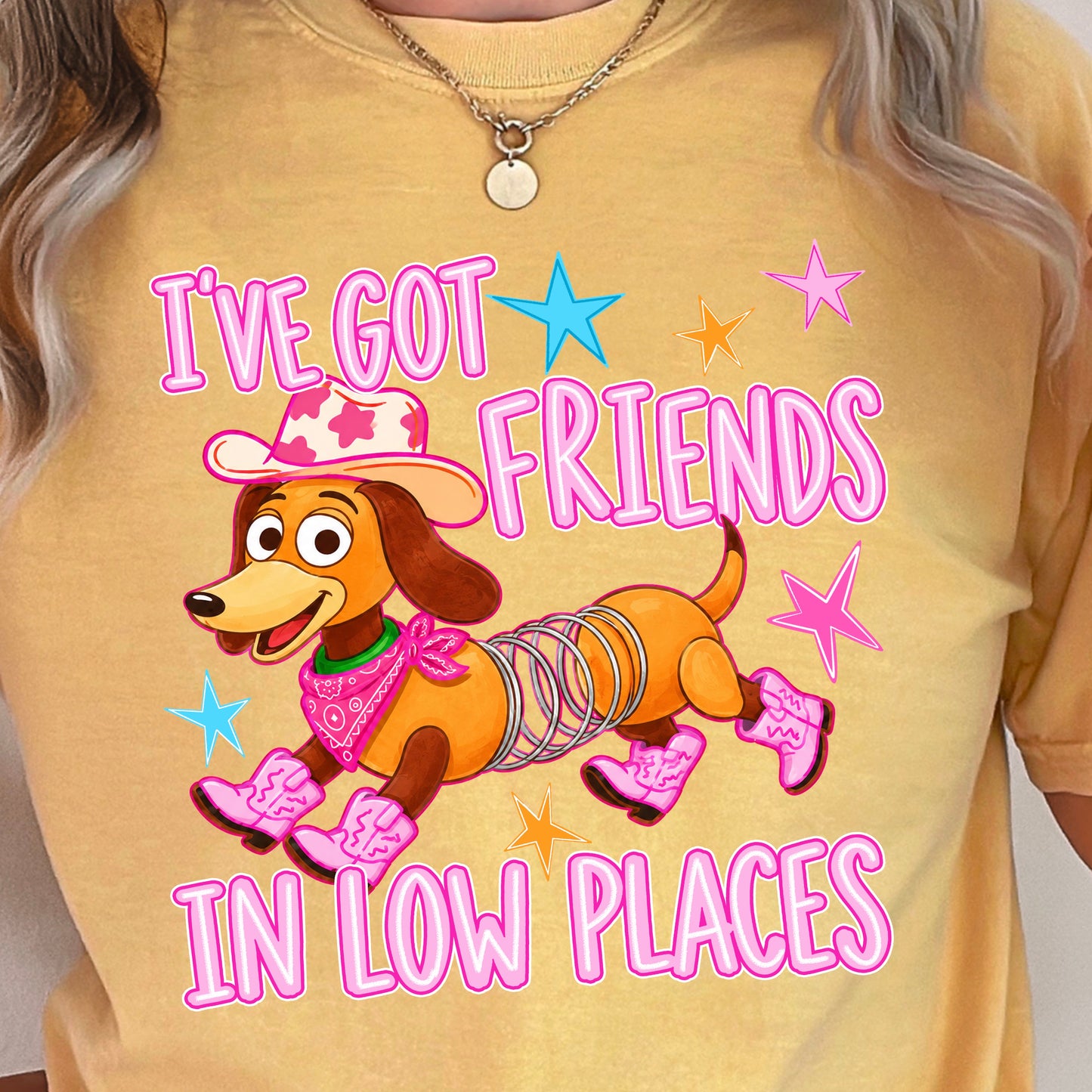I’ve Got Friends In Low Places Toy Comfort Color Graphic Tee