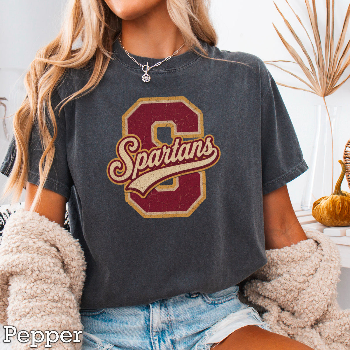 Spartans Comfort Color Graphic Tee