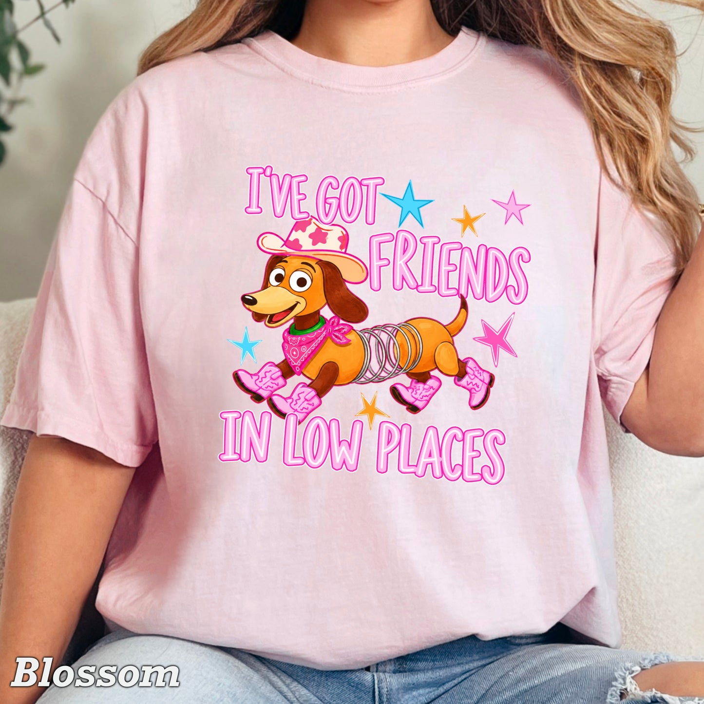 I’ve Got Friends In Low Places Toy Comfort Color Graphic Tee