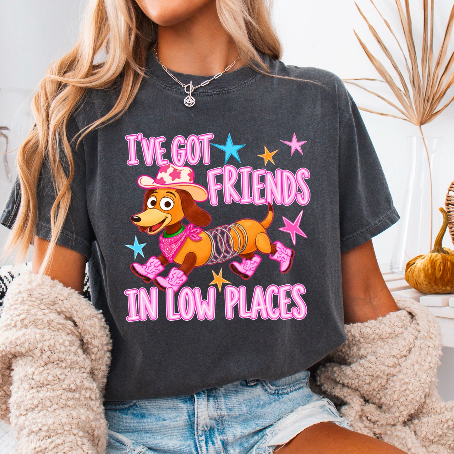 I’ve Got Friends In Low Places Toy Comfort Color Graphic Tee