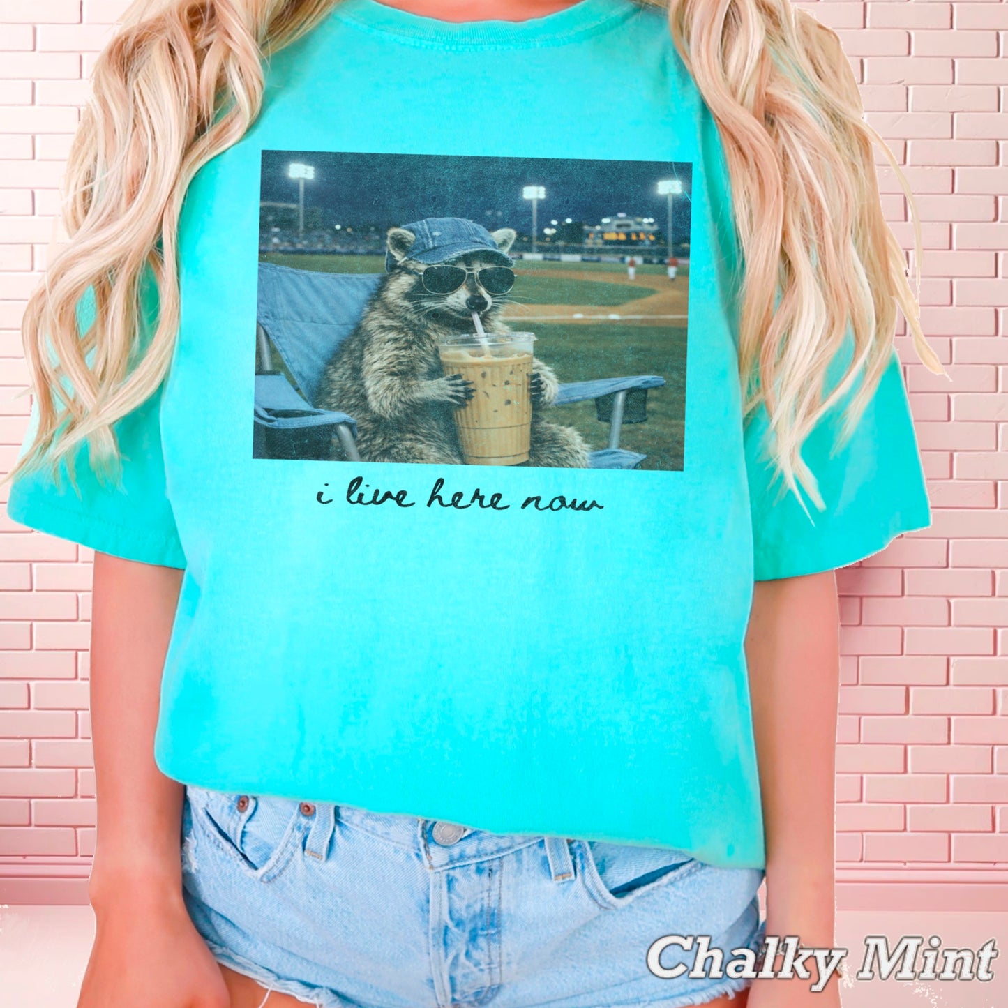 I Live Here Now Raccoon Baseball Comfort Color Graphic Tee