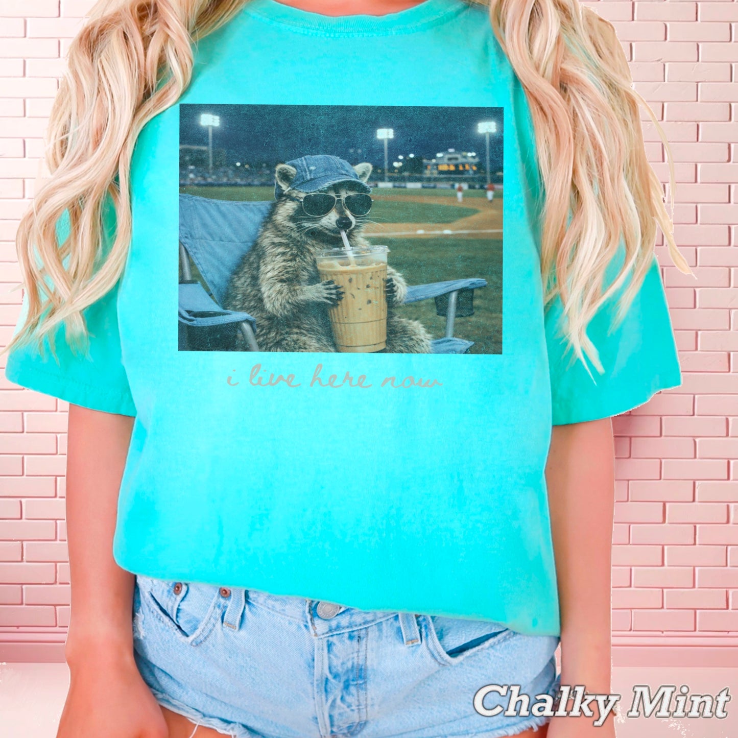 I Live Here Now Raccoon Baseball Comfort Color Graphic Tee