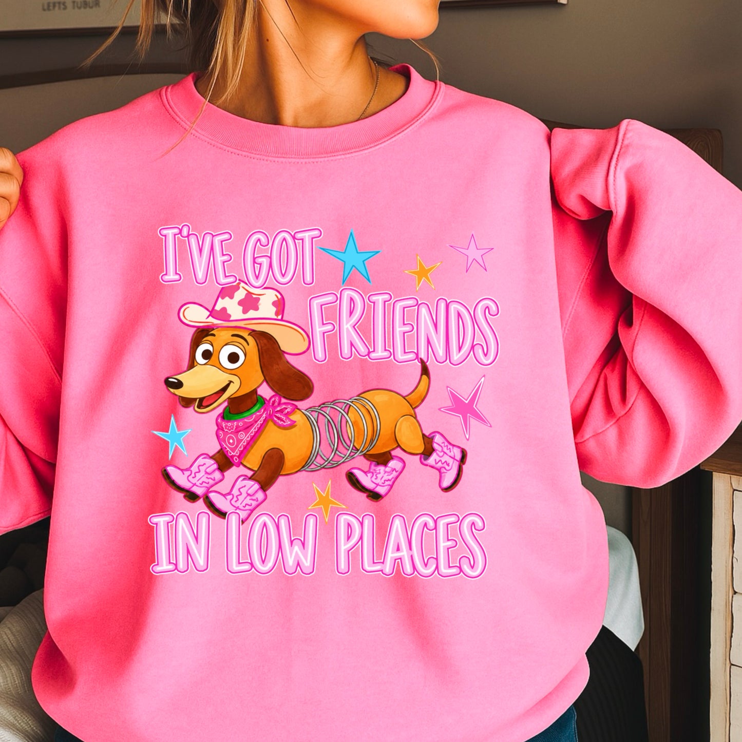 I’ve Got Friends In Low Places Toy Crewneck Sweatshirt