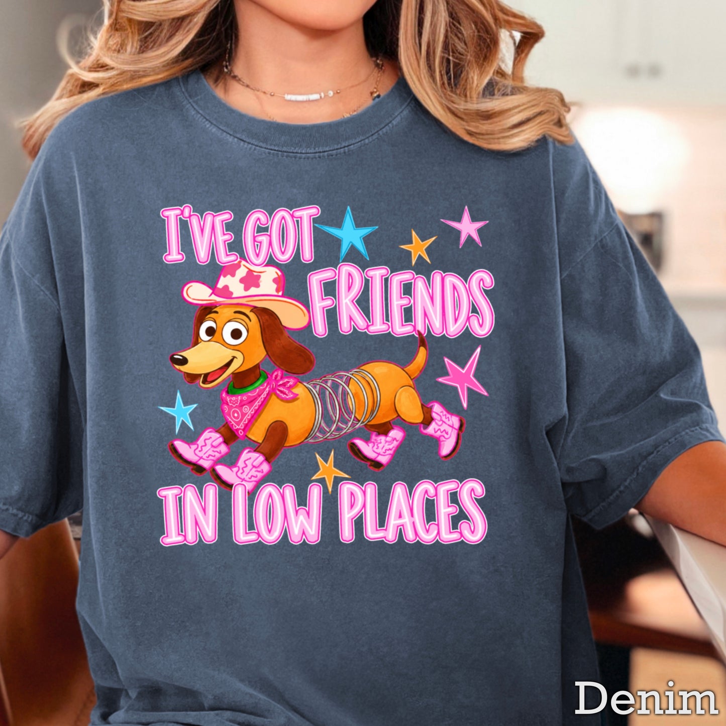 I’ve Got Friends In Low Places Toy Comfort Color Graphic Tee