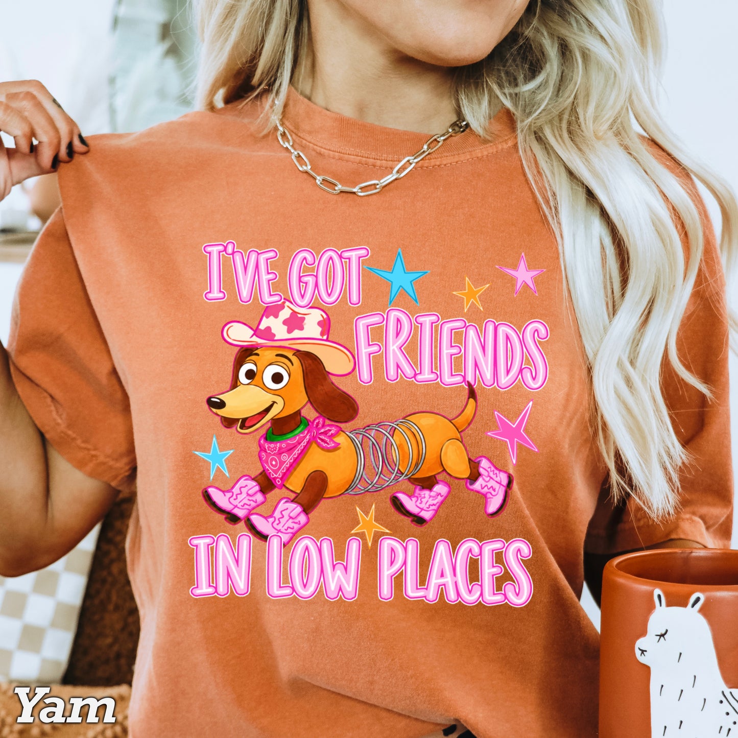 I’ve Got Friends In Low Places Toy Comfort Color Graphic Tee