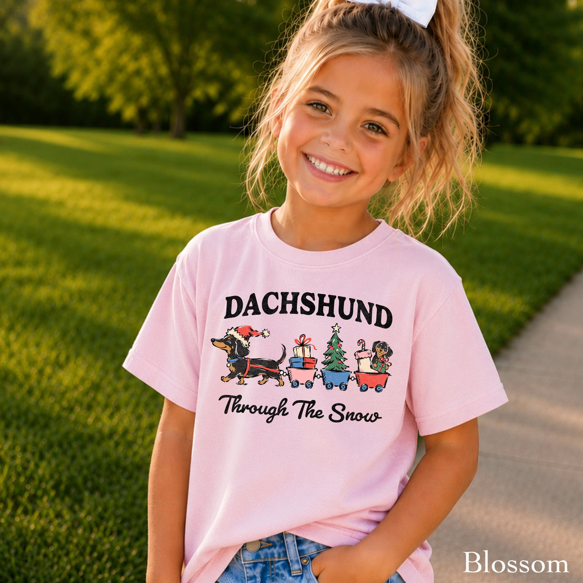 Dachshund Through The Snow Christmas Youth Comfort Color T-Shirt