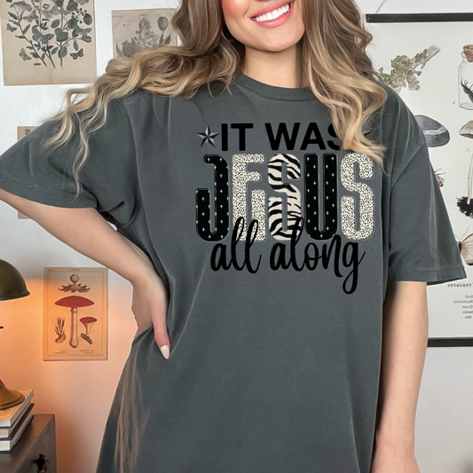 It Was Jesus All Along Comfort Color Graphic Tee