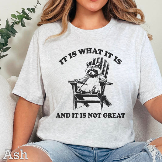 WHOLESALE WEDNESDAY It Is What It Is Screen Print Transfer