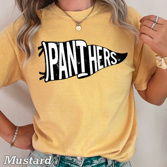 Panthers Pennant Flag DTF Transfer
