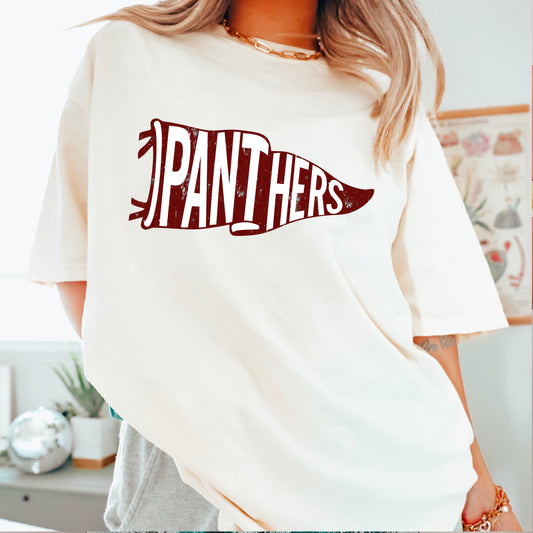 Panthers Pennant Flag DTF Transfer