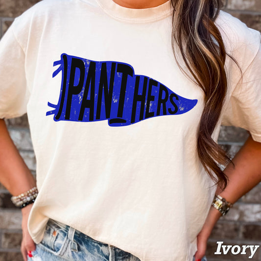 Panthers Pennant Flag DTF Transfer