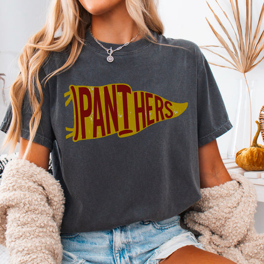 Panthers Pennant Flag DTF Transfer
