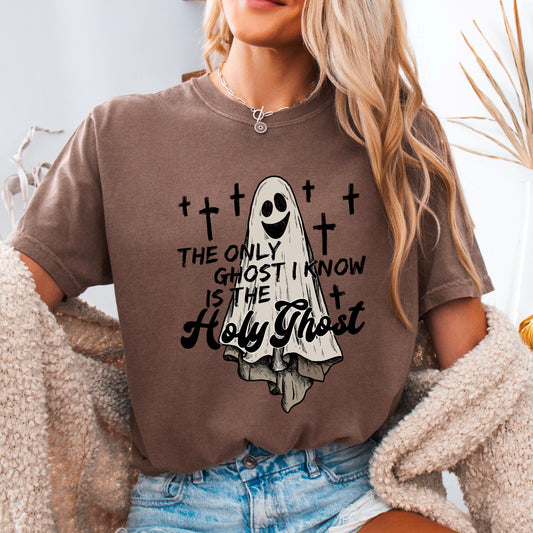 The Only Ghost I Know Is The Holy Ghost Halloween DTF Transfer