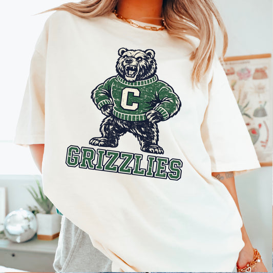 Grizzlies DTF Transfer