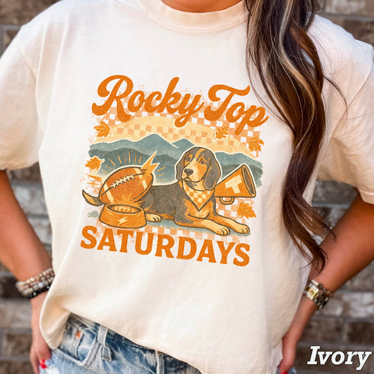 Tennessee Saturday’s DTF Transfer