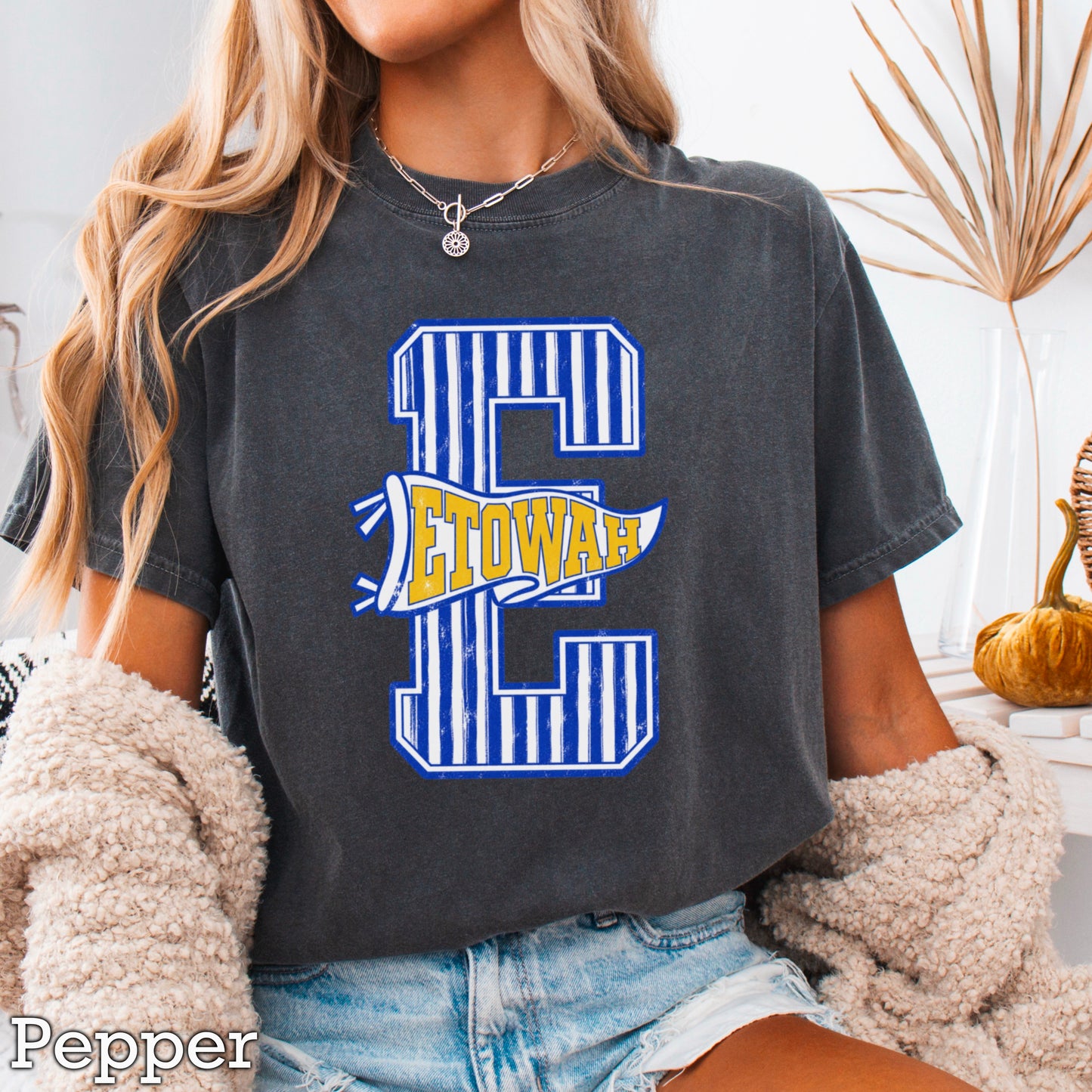 Eagles  Comfort Color Graphic Tee