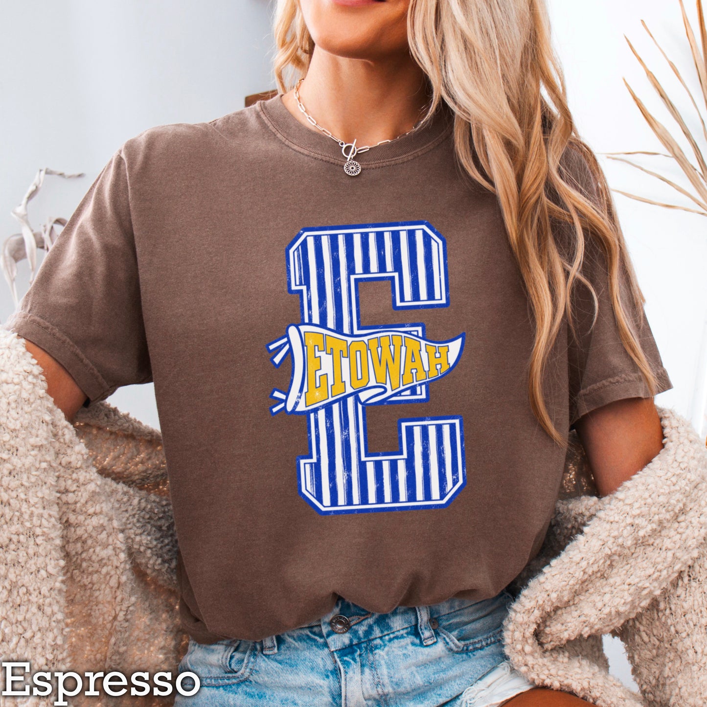 Eagles  Comfort Color Graphic Tee